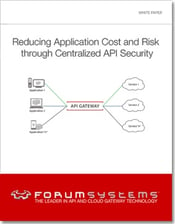 Reducing-Application-Cost-and-Risk-through-Centralized-API-Security